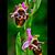 Jennifer Mitchell's profile image