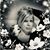 Lori Yakawiak's profile image