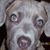 Warner Rollings's profile image