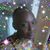 Jenny Jenn's profile image