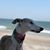 Barry Colleen Cohen's profile image