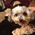Joseph Laberge's profile image