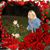Colleen Grady Klima's profile image