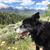 Ginny Galbreth's profile image