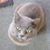Duane Harnes's profile image