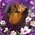 Rosemarie Vegas-Pettit's profile image