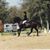Rebeccah Combs-Marr's profile image