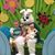 John N Susan Blithe's profile image