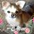 Candi Heil Miller's profile image