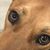 Tina Brotherton's profile image