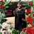 Jacquelyn M. Williams-humphrey's profile image