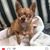 Stacey Iturzaeta's profile image