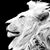 Robert King's profile image