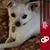 Debbie Damaske's profile image