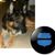 Harry Ruffner's profile image