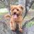 Marjorie Gaddy Hodges's profile image