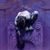 Robert Flores Ledesma Jr.'s profile image