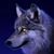 Jo Rankin's profile image