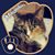 Virginia Smith-Stankowski's profile image