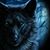 Selver Kulovic's profile image