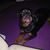Cheryl Gadd Franck's profile image