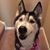 Brandi Swinson's profile image
