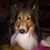 Shelly Burch Bell's profile image