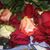Josie Rangel's profile image