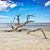Jenny Fogus's profile image