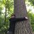 Sajsquatch Rudolf's profile image