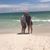 Rachel Ayers Horak's profile image