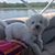 Marda Fridley Libuse's profile image