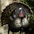 Judy Darling's profile image