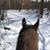 Debbie Dunton Joslyn's profile image