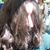Dale Wilhelmy's profile image