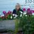Brenda Montie's profile image