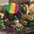 Rachel Landry Domingue's profile image