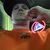 Josh Forcum's profile image