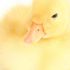 Kathleen M.'s profile image