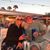 Patrick N Sheila Gorrie's profile image