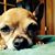 Amy Stadelman's profile image