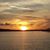 Laurie Polsfuss's profile image