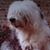 Leonira Lisa Mastice's profile image