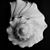 Dan Walther's profile image