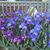 Tammy Ryun's profile image
