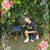 Diana Cortright's profile image