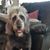 Kaylan M Hulsebus's profile image