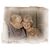 Cliff Volkmann's profile image