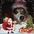 Charlene Gassman's profile image