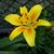 Louann Brink's profile image
